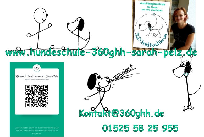 360 Grad Hund Herum mit Sarah Pelz in Düsseldorf-Süd
