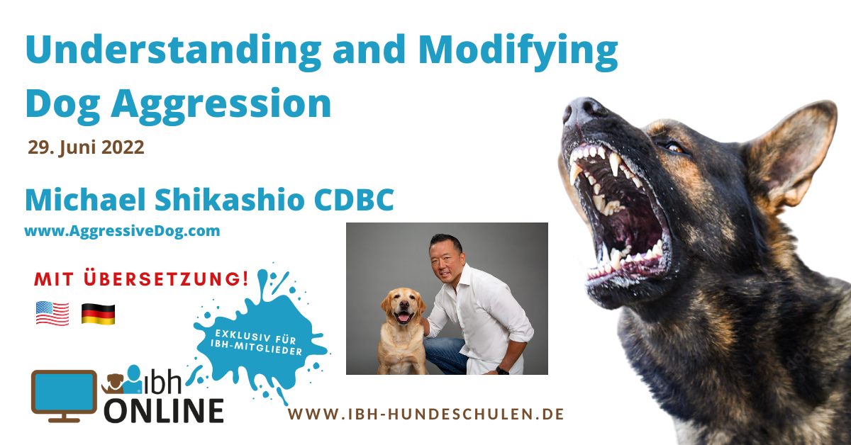 IBH-Online "Hundeaggression verstehen und modifizieren"