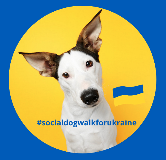 #socialdogwalkforukraine Spenden-Gassi & Live-Versteigerung