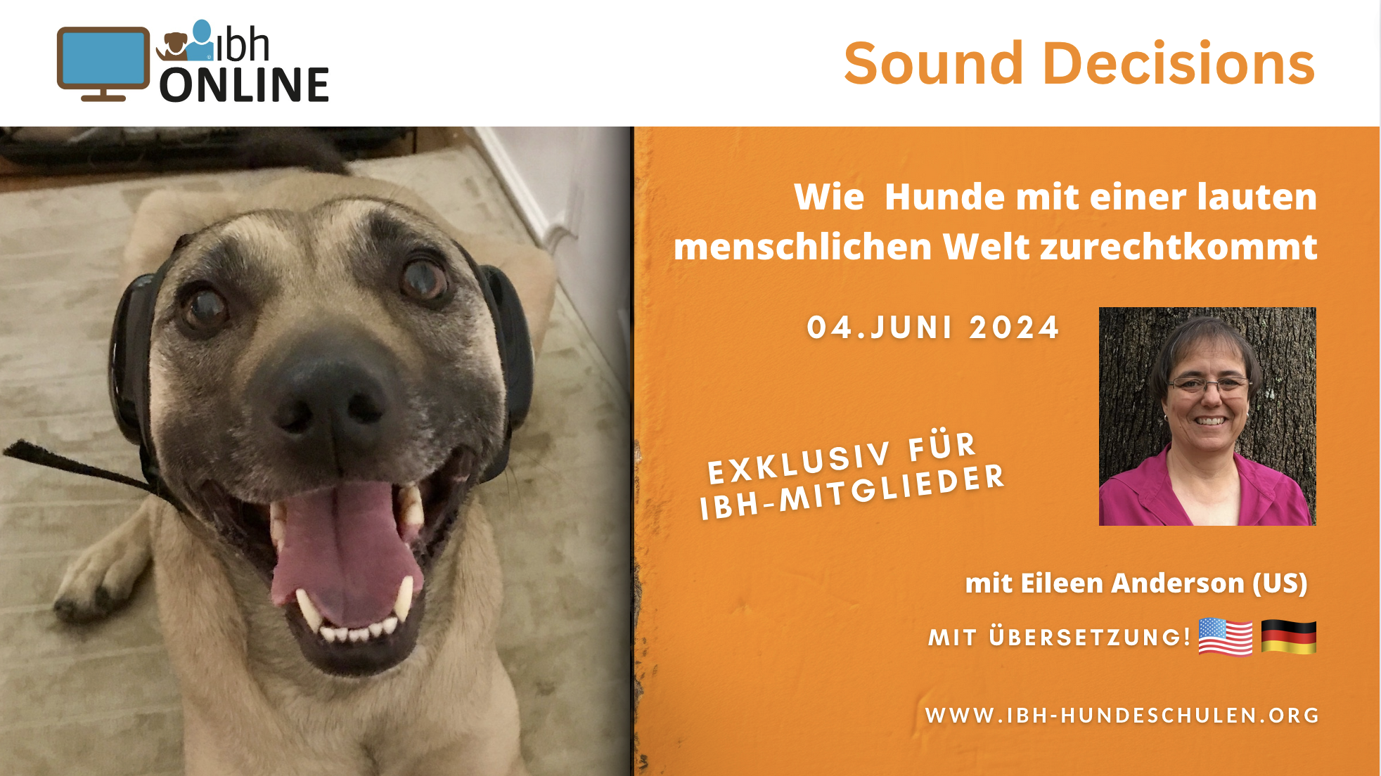 Sound Decisions -  Wie Hunde mit einer lauten menschlichen Welt zurechtkommen - mit Eileen Anderson (US)