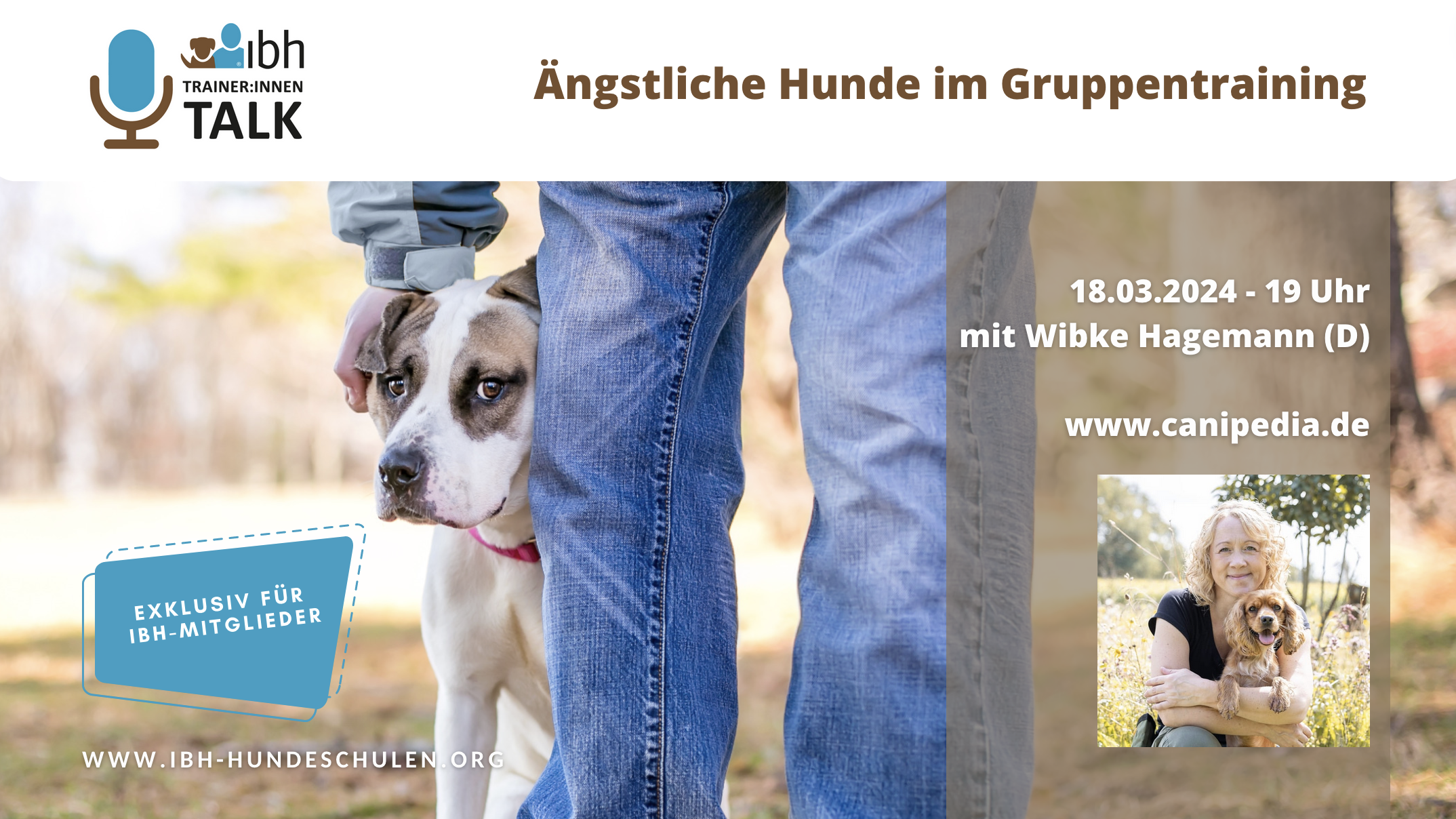 IBH-Trainer:innen-Talk:  Ängstliche Hunde im Gruppentraining - mit Wibke Hagemann (D)