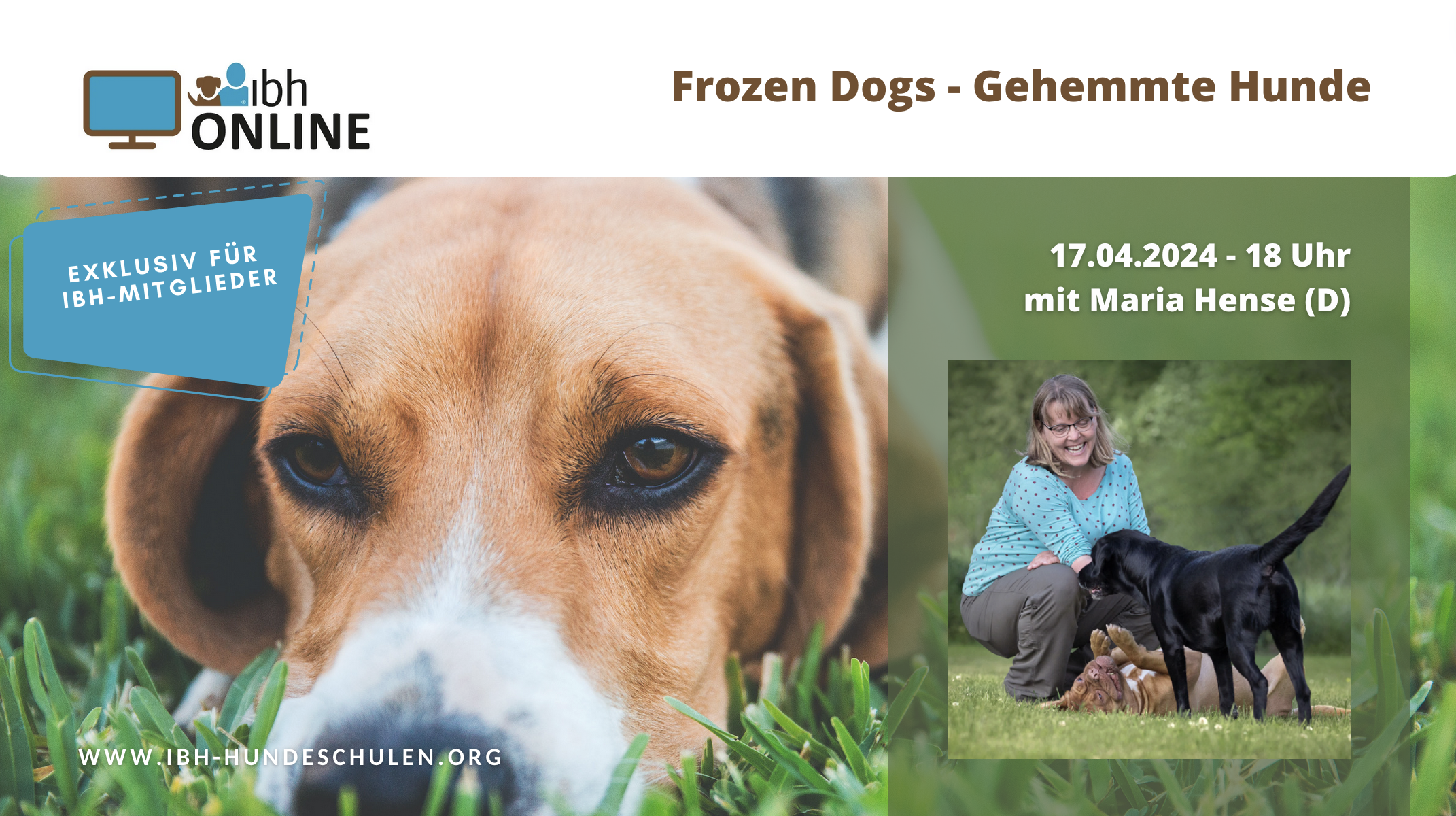 IBH-Online: Frozen Dogs - Gehemmte Hunde - mit Maria Hense (D)