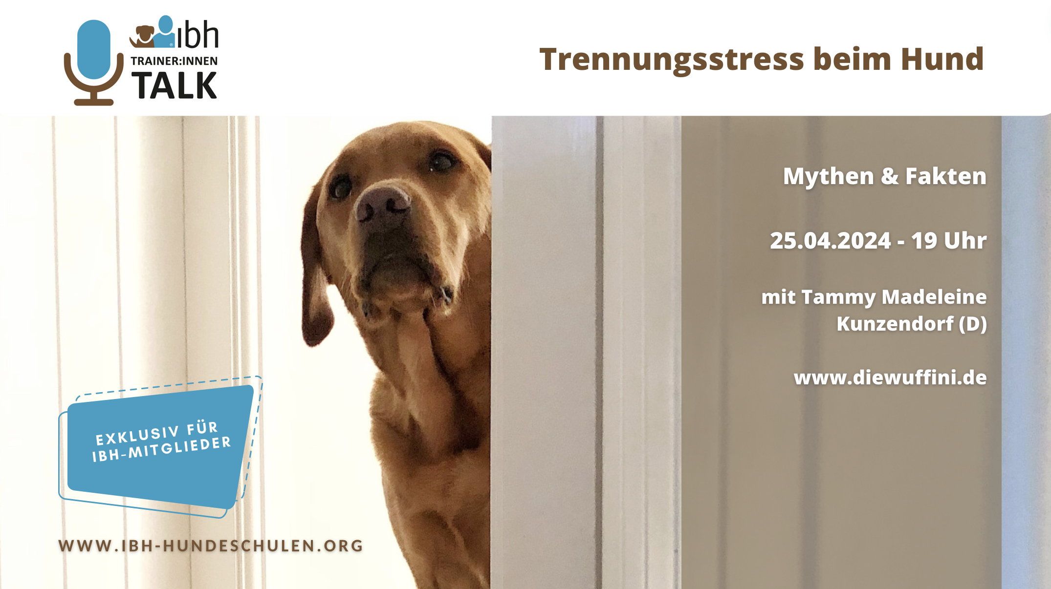 IBH-Trainer:innen-Talk: Trennungsstress beim Hund - mit Tammy Madeleine Kunzendorf (D)
