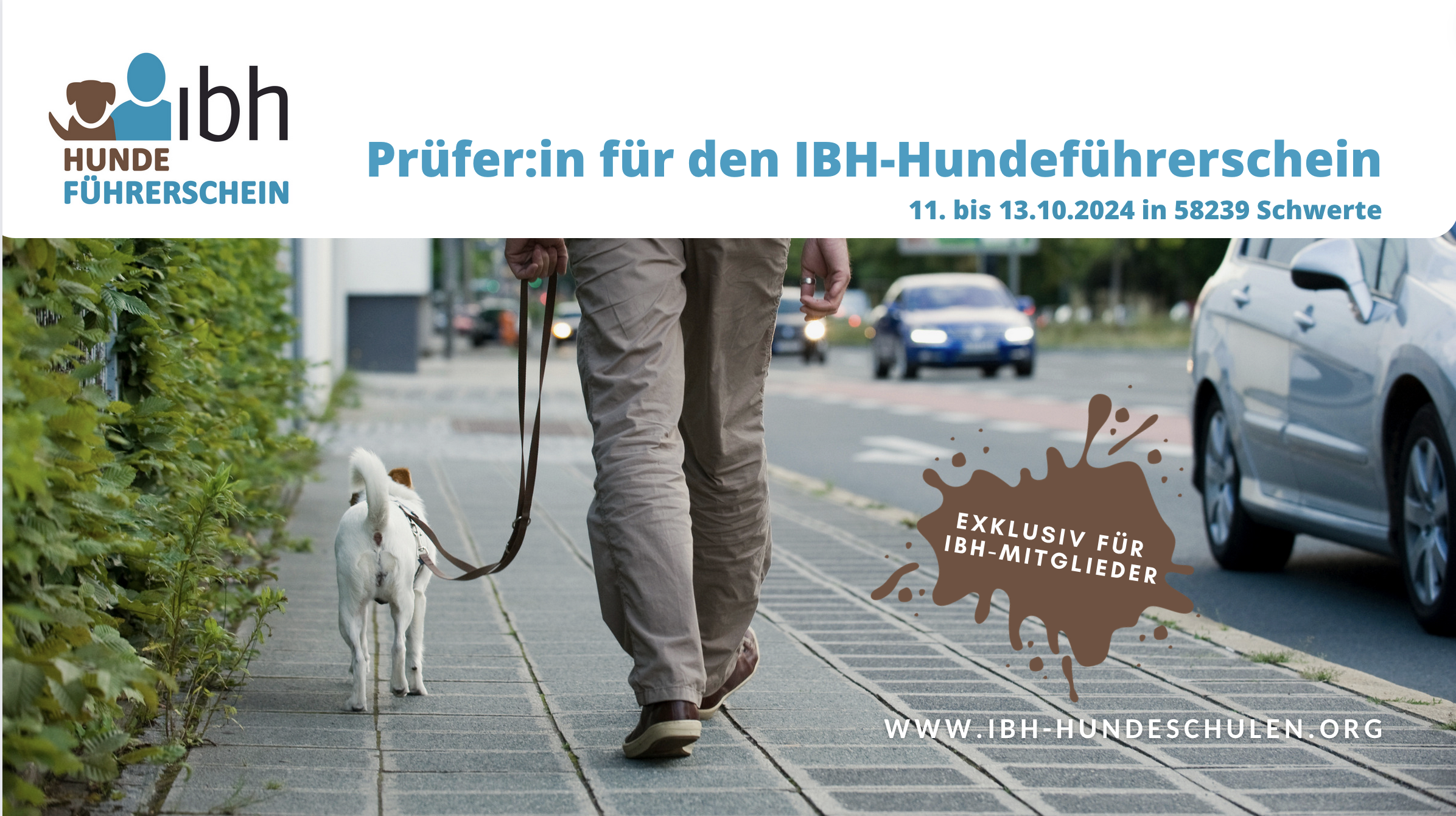Zertifizierungslehrgang: Prüfer:in für den IBH-Hundeführerschein